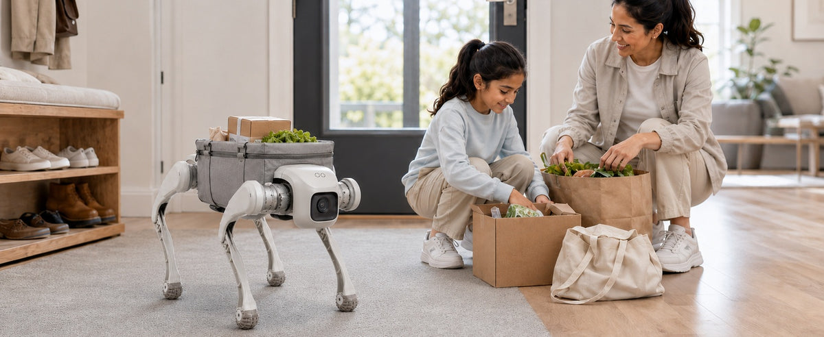 Smart Mobility for Everyday Tasks