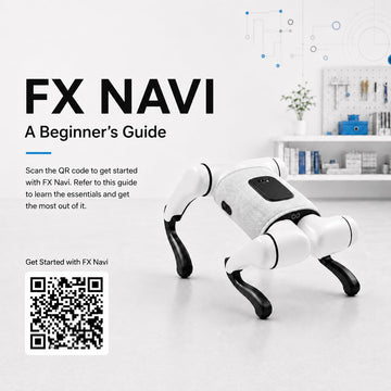 FX Navi