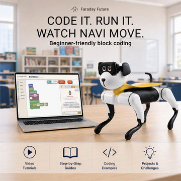 FX Navi